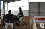 Reitertag 25.08.2013 404.JPG