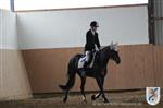 Reitertag 25.08.2013 416.JPG