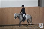 Reitertag 25.08.2013 436.JPG