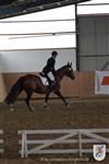 Reitertag 25.08.2013 455.JPG