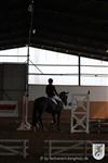 Reitertag 25.08.2013 461.JPG