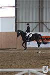 Reitertag 25.08.2013 463.JPG