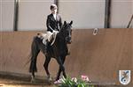 Reitertag 25.08.2013 470.JPG