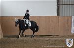 Reitertag 25.08.2013 480.JPG