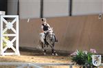 Reitertag 25.08.2013 502.JPG