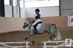 Reitertag 25.08.2013 504.JPG