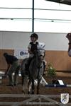 Reitertag 25.08.2013 516.JPG