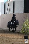 Reitertag 25.08.2013 521.JPG