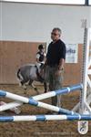 Reitertag 25.08.2013 523.JPG