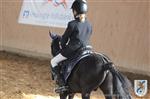 Reitertag 25.08.2013 530.JPG