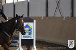 Reitertag 25.08.2013 548.JPG