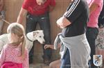 Reitertag 25.08.2013 561.JPG