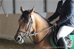 Reitertag 25.08.2013 565.JPG
