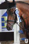 Reitertag 25.08.2013 591.JPG