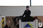 Reitertag 25.08.2013 594.JPG