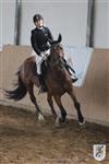 Reitertag 25.08.2013 607.JPG