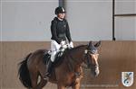 Reitertag 25.08.2013 611.JPG