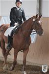 Reitertag 25.08.2013 625.JPG