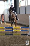Reitertag 25.08.2013 628.JPG