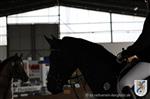 Reitertag 25.08.2013 655.JPG