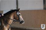 Reitertag 25.08.2013 657.JPG