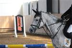Reitertag 25.08.2013 688.JPG