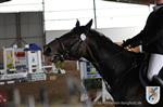 Reitertag 25.08.2013 689.JPG