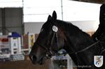 Reitertag 25.08.2013 691.JPG