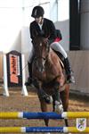 Reitertag 25.08.2013 715.JPG