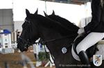 Reitertag 25.08.2013 729.JPG