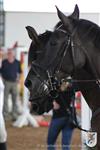 Reitertag 25.08.2013 732.JPG