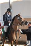 Reitertag 25.08.2013 746.JPG
