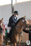 Reitertag 25.08.2013 747.JPG