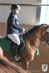 Reitertag 25.08.2013 763.JPG