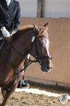 Reitertag 25.08.2013 764.JPG