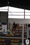 Reitertag 25.08.2013 768.JPG
