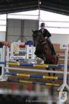 Reitertag 25.08.2013 774.JPG