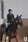 Reitertag 25.08.2013 805.JPG