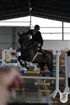 Reitertag 25.08.2013 813.JPG
