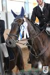 Reitertag 25.08.2013 837.JPG