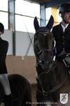 Reitertag 25.08.2013 838.JPG
