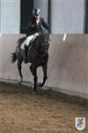 Reitertag 25.08.2013 841.JPG