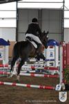 Reitertag 25.08.2013 866.JPG