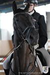 Reitertag 25.08.2013 910.JPG