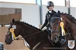 Reitertag 25.08.2013 915.JPG