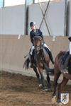 Reitertag 25.08.2013 925.JPG
