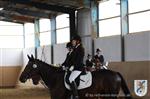 IMG_8937.JPG
