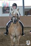 Reitertag 26.08.2012 122.JPG