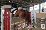 Reitertag 26.08.2012 125.JPG