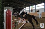 Reitertag 26.08.2012 147.JPG